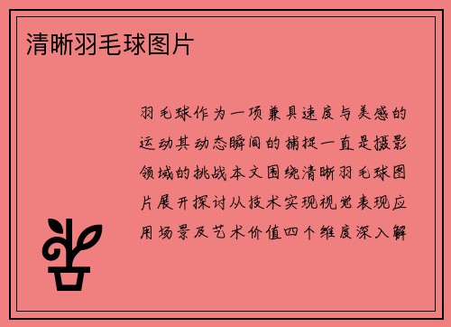 清晰羽毛球图片